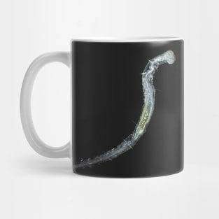 Aeolosoma worm under the microscope Mug